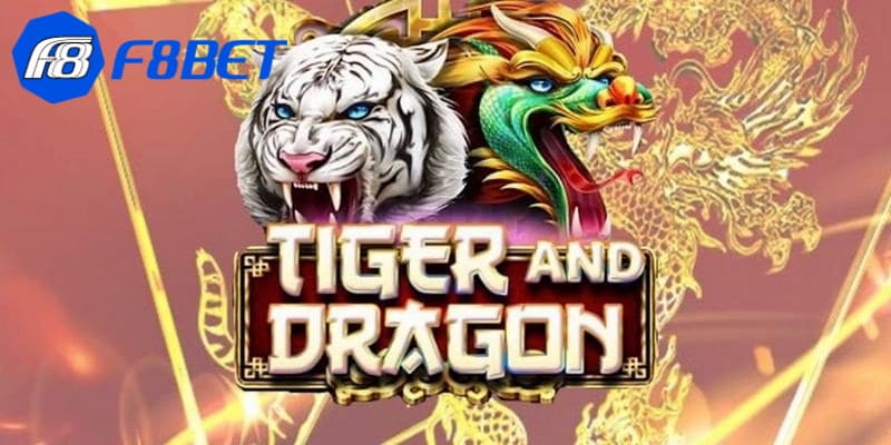 Kinh nghiệm chơi rồng hổ là gì từ các chuyên gia
