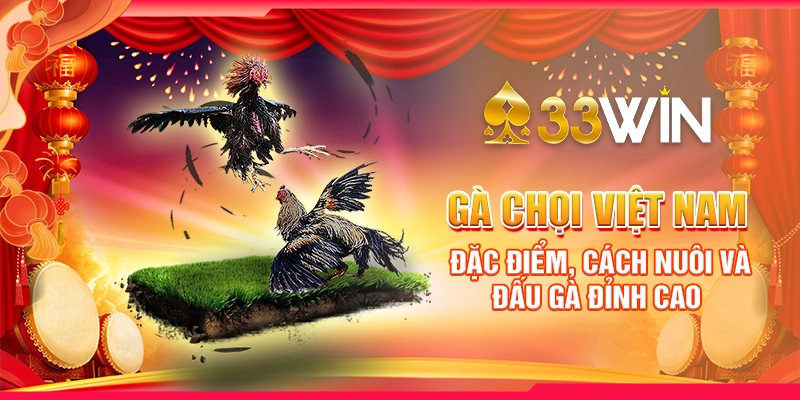 Gà Chọi Việt Nam - Đặc Điểm, Cách Nuôi Và Đấu Gà Đỉnh Cao