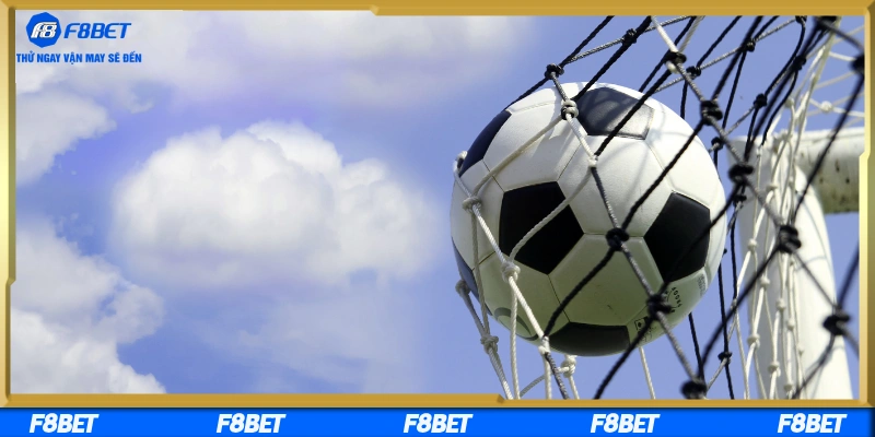 Đặt cược hợp lý theo thông tin nghiên cứu