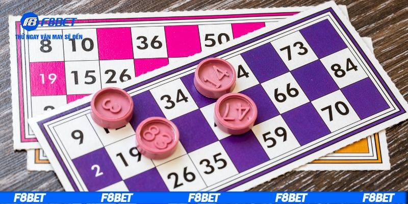 Khái quát về lô khung 3 ngày