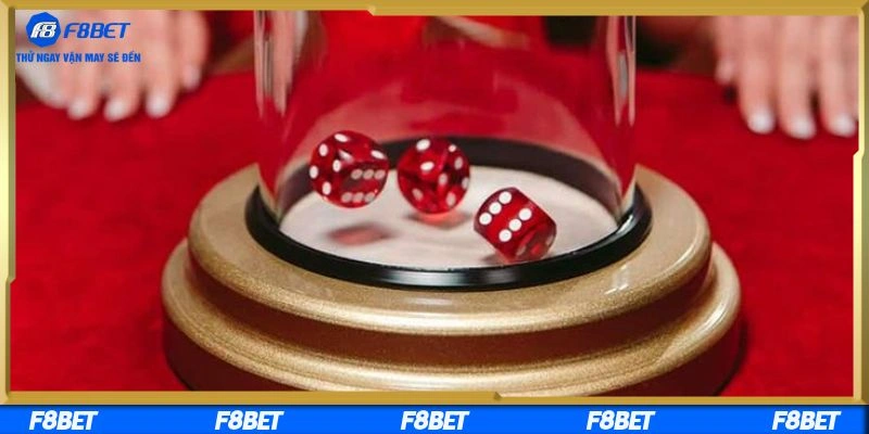 Giao diện đẹp cùng nhiều khuyến mãi