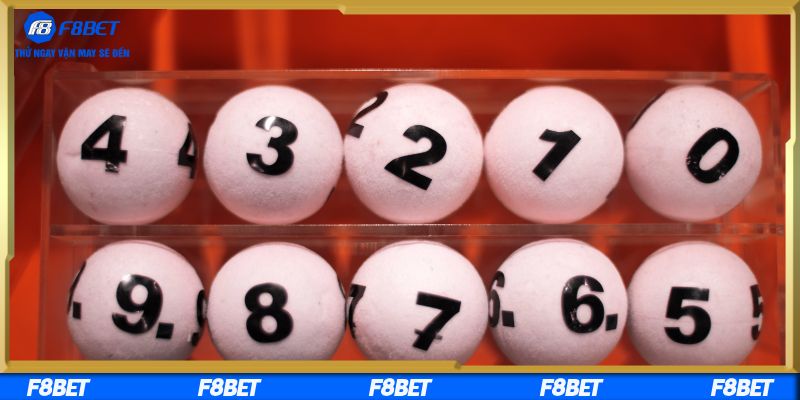 Cùng nền tảng nuôi lô khung 5 ngày