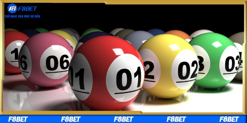 Chiến thuật nuôi lô theo chu kỳ hiệu quả