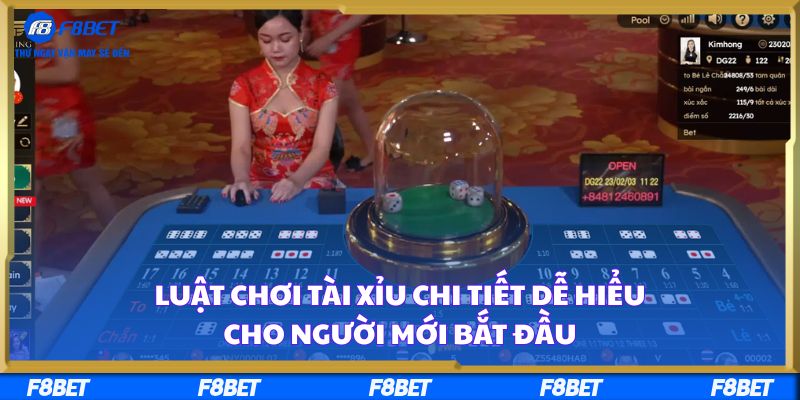 Luật Chơi Tài Xỉu Chi Tiết Dễ Hiểu Cho Người Mới Bắt Đầu