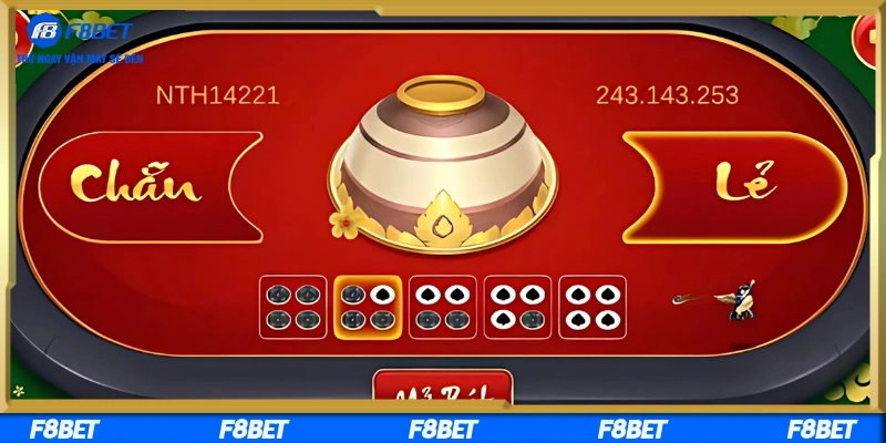 Cùng nền tảng khám phá xóc đĩa con mực